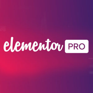 Elementor Pro