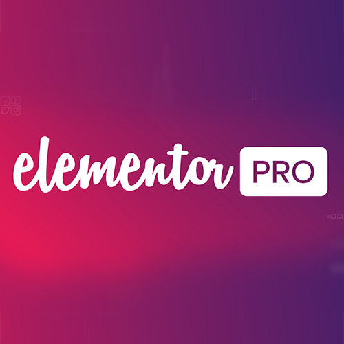 elementor-pro-2