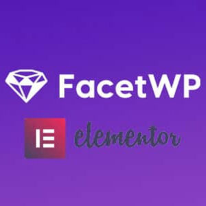 FacetWP Elementor Add On Pro